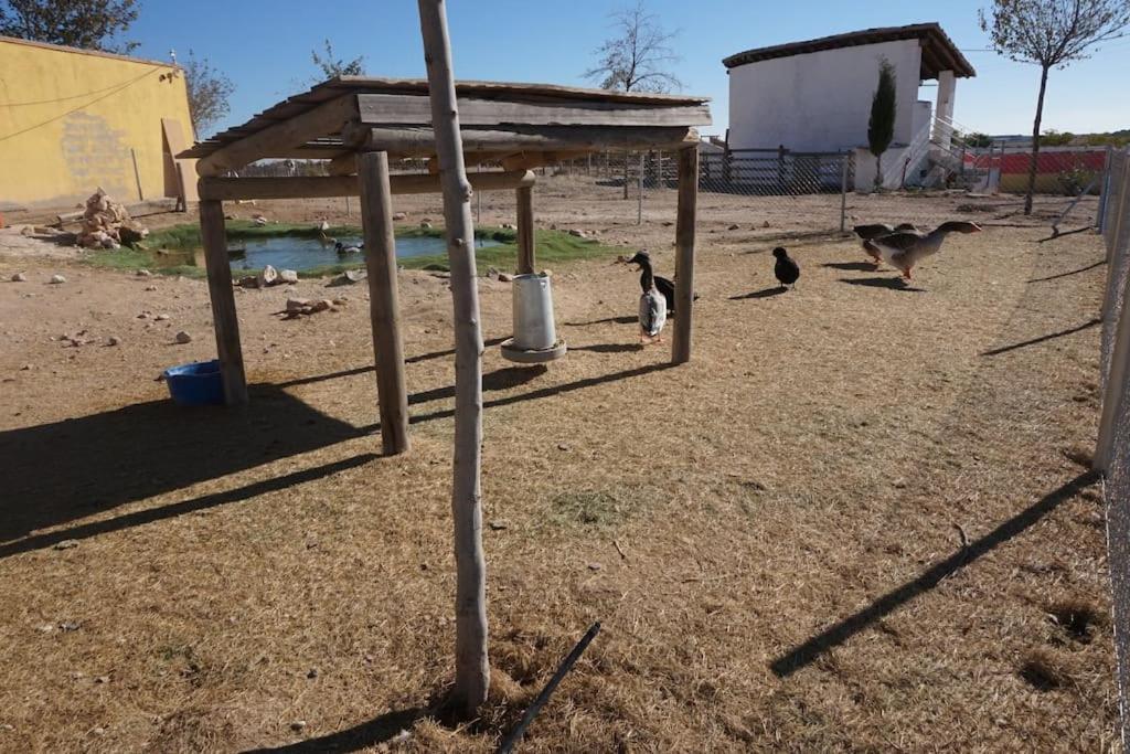 Finca La Caprichosa De Dancos Lillo Kültér fotó